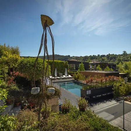 Vale De Sao Torcato Rural Guimarães