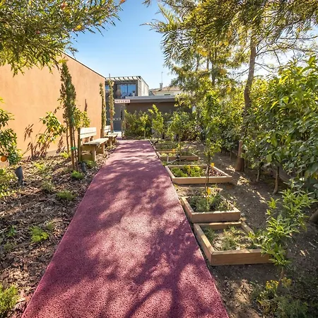 Bed & Breakfast Vale De Sao Torcato Rural 3*