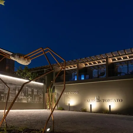 Bed & Breakfast Vale De Sao Torcato Rural