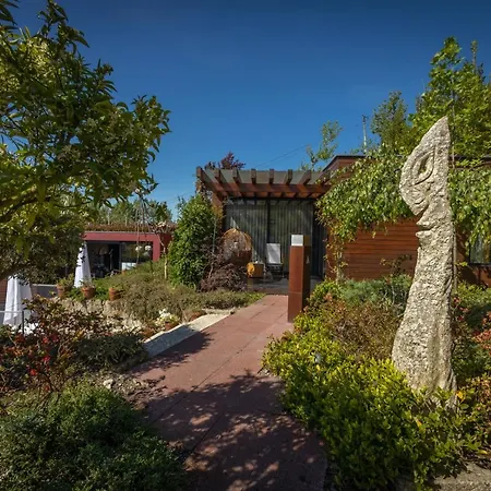 Vale De Sao Torcato Rural Bed & Breakfast