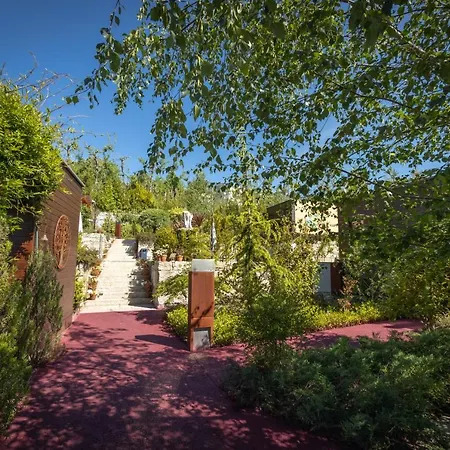 Vale De Sao Torcato Rural Bed & Breakfast Guimaraes