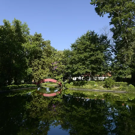 Bed & Breakfast Vale De Sao Torcato Rural