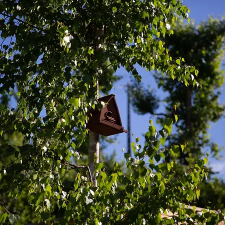 Bed and breakfast Vale De Sao Torcato Rural