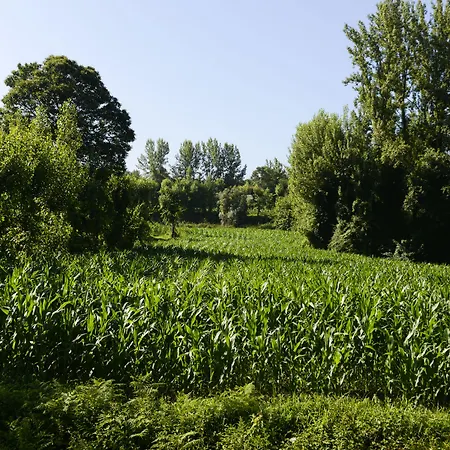 Nocleg ze śniadaniem Vale De Sao Torcato Rural