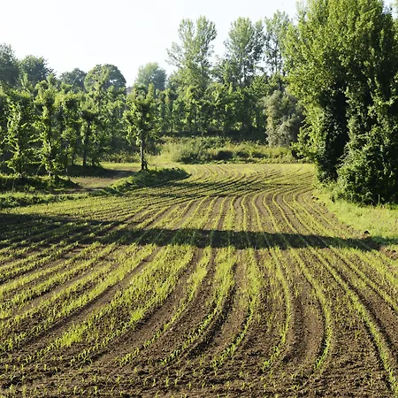 Vale De Sao Torcato Rural Guimarães