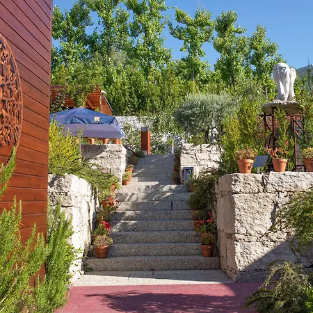 Vale De Sao Torcato Rural 4*