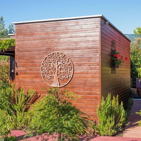 Vale De Sao Torcato Rural 4* Guimarães