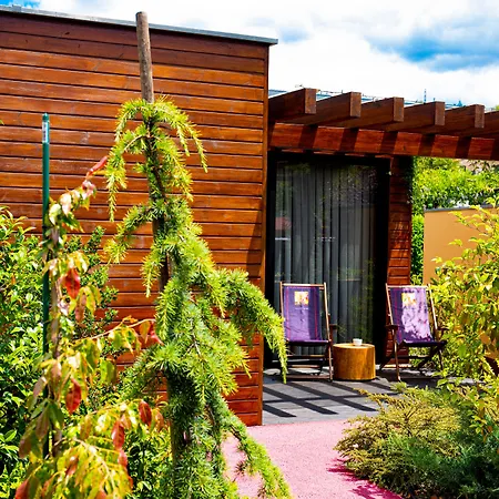 Bed & Breakfast Vale De Sao Torcato Rural