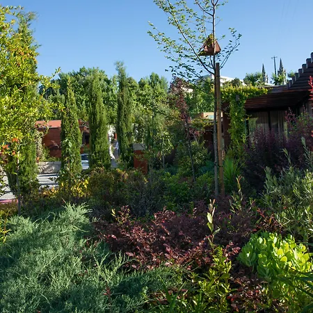 Vale De Sao Torcato Rural 4*