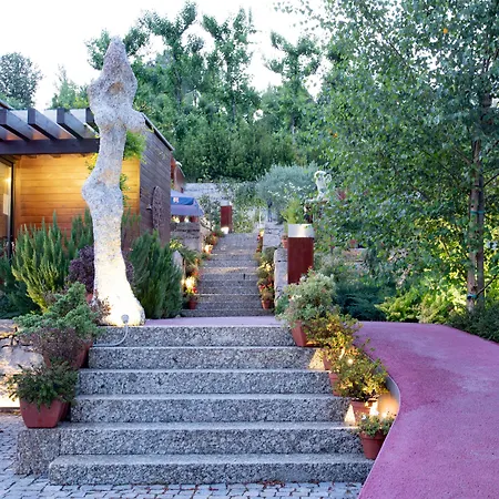 Bed and breakfast Vale De Sao Torcato Rural 4*