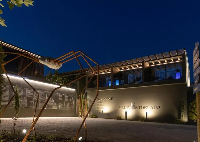 Bed & Breakfast Vale De São Torcato Rural