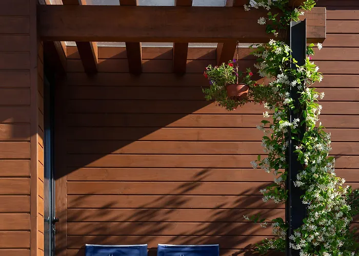 Vale De São Torcato Rural