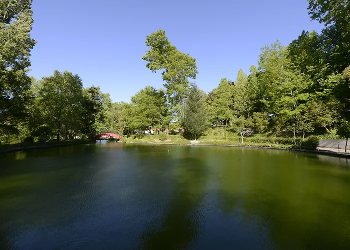 Vale De São Torcato Rural Guimarães