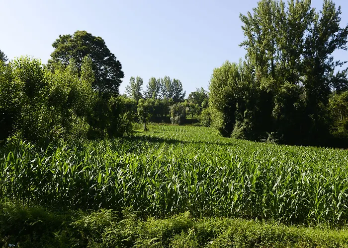 Alojamento de Acomodação e Pequeno-almoço Vale De São Torcato Rural