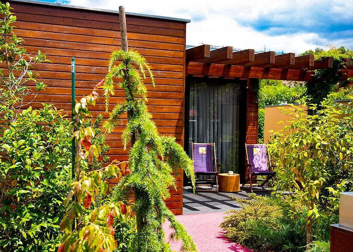 Bed & Breakfast Vale De São Torcato Rural